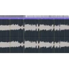 Steinberg Cubase Artist (Latest version)