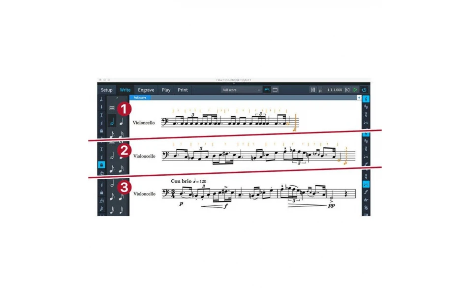 Steinberg Dorico Crossgrade EDU (Latest educational version)