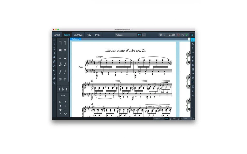 Steinberg Dorico Crossgrade EDU (Latest educational version)