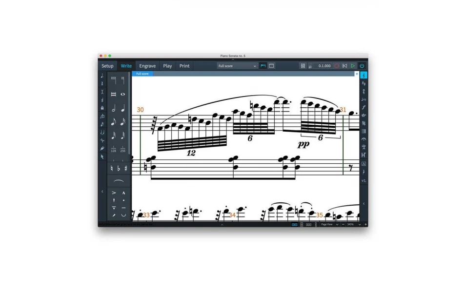 Steinberg Dorico Crossgrade EDU (Latest educational version)