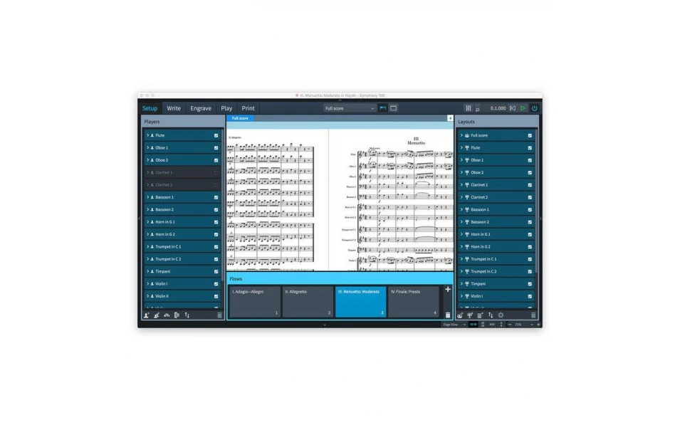 Steinberg Dorico Crossgrade EDU (Latest educational version)