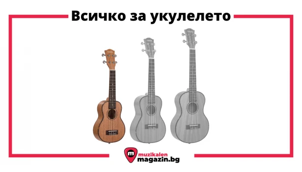 Укулеле - всичко, което трябва да знаете за него