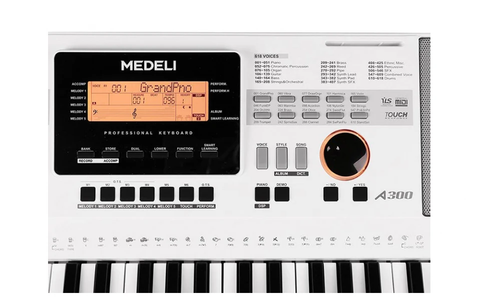 Medeli Aspire Series A300W