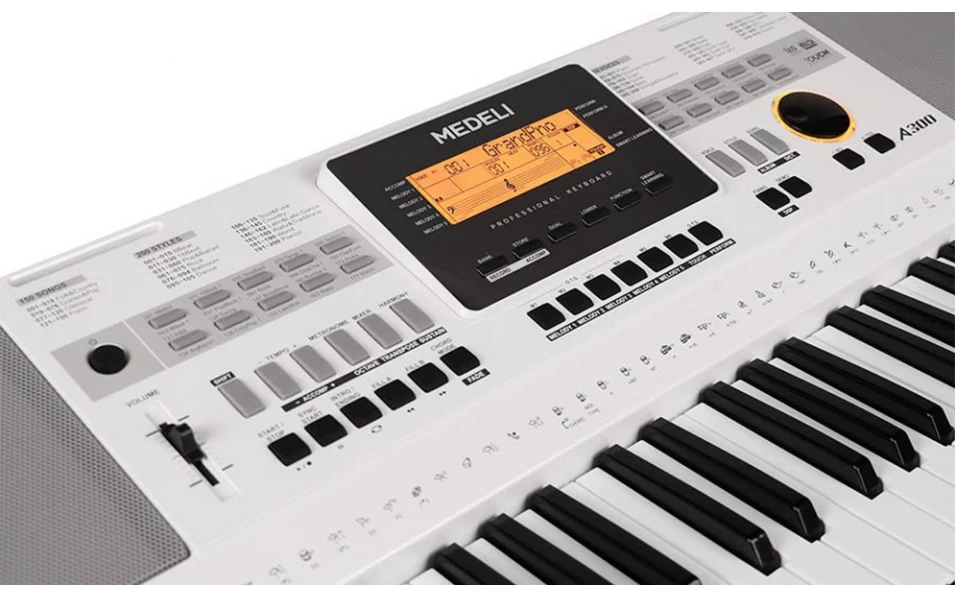 Medeli Aspire Series A300W