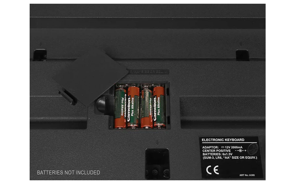 Medeli Aspire Series A300W