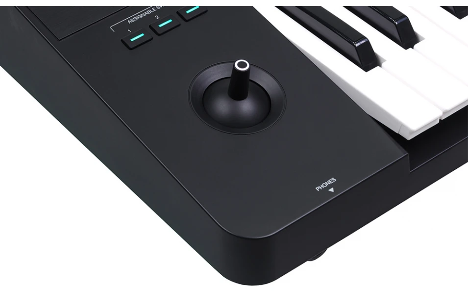 Medeli Arranger Pro Series AKX10