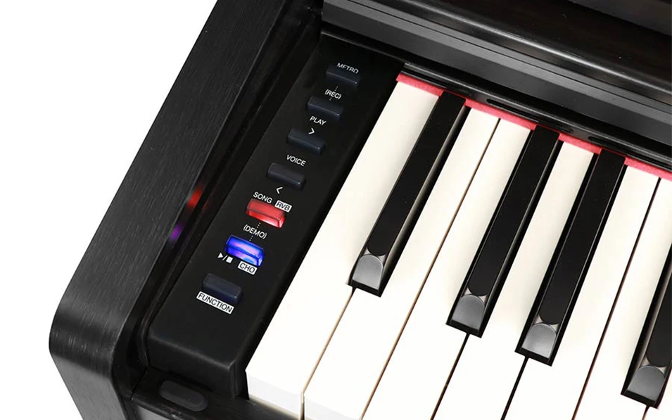 Medeli Intermezzo Series DP280/BK