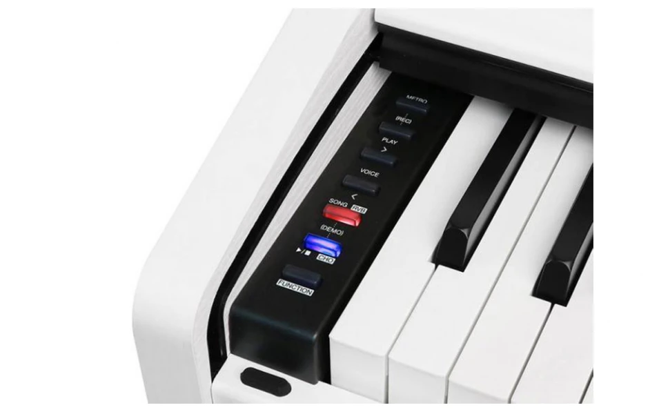 Medeli Intermezzo Series DP280K/WH