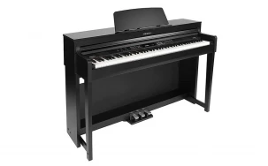 Medeli Forte Series DP460K/BK