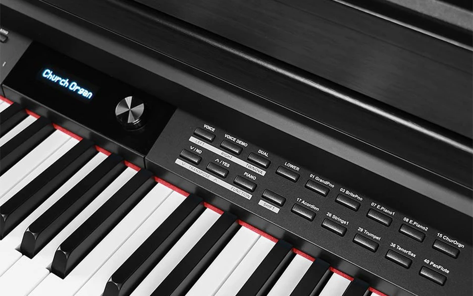 Medeli Forte Series DP460K/BK