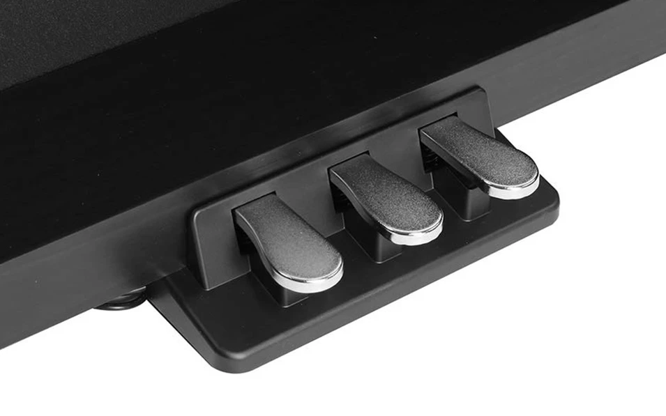 Medeli Forte Series DP460K/BK