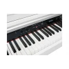 Medeli Forte Series DP460K/WH