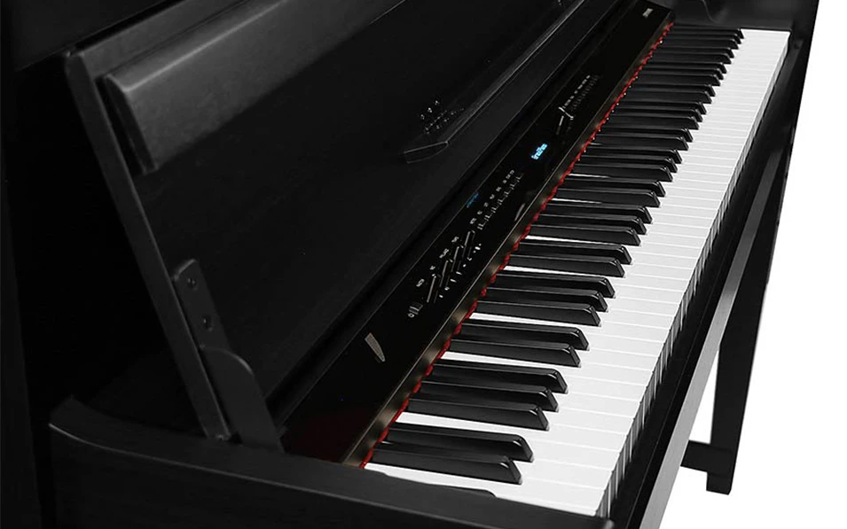 Medeli Forte Series DP650/BK