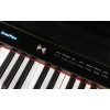 Medeli Forte Series DP650/BK