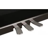 Medeli Forte Series DP650/BK