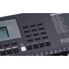 Medeli Millenium Series IK100