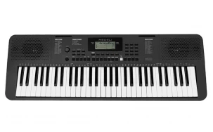 Medeli Millenium Series MK100