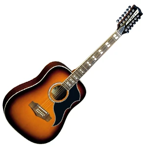 Акустични китари с 12 струни