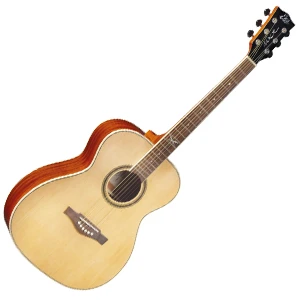 Акустични китари тип Auditorium