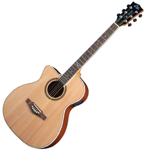 Акустични китари за лява ръка